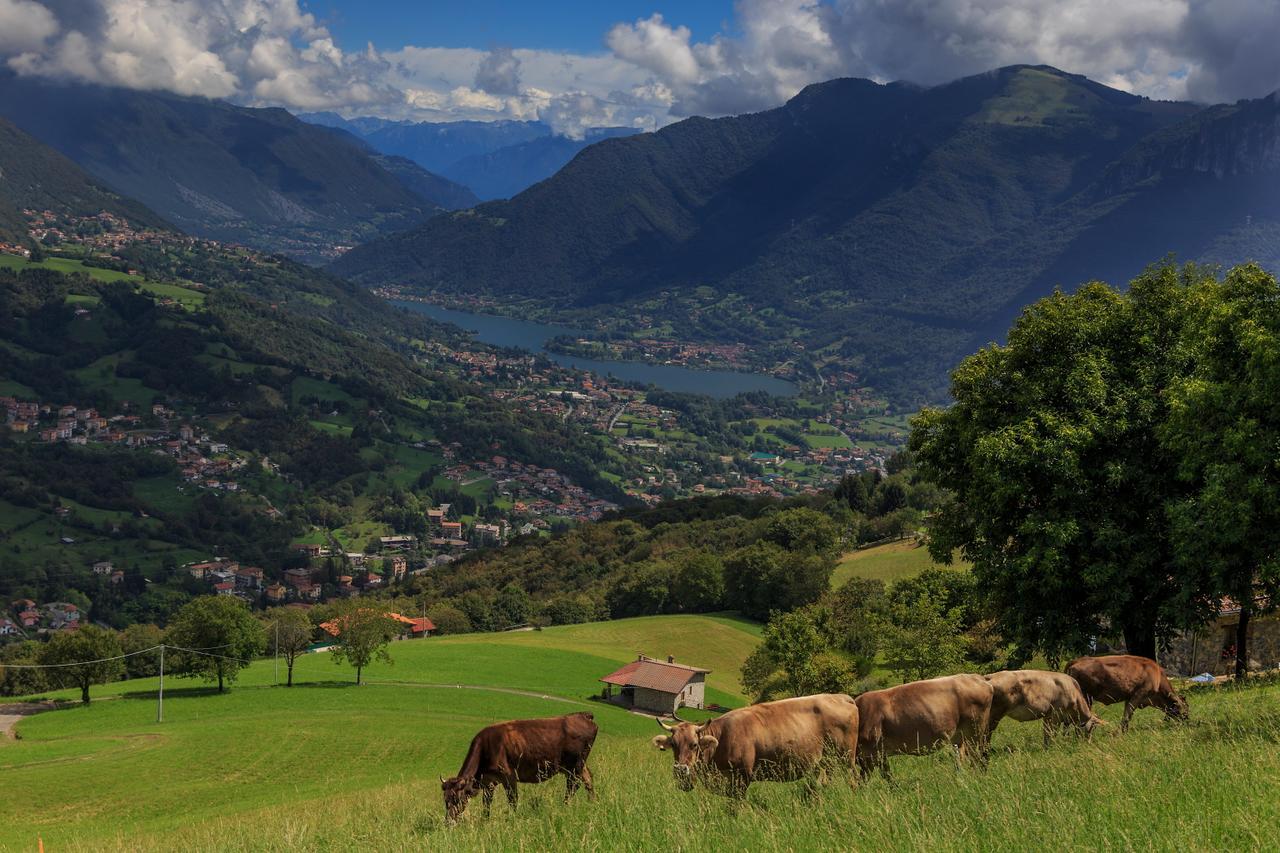 Casa Vacanza Residence Lago Di Endine Monasterolo del Castello エクステリア 写真